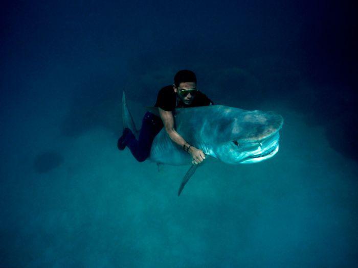 Прикольные картинки