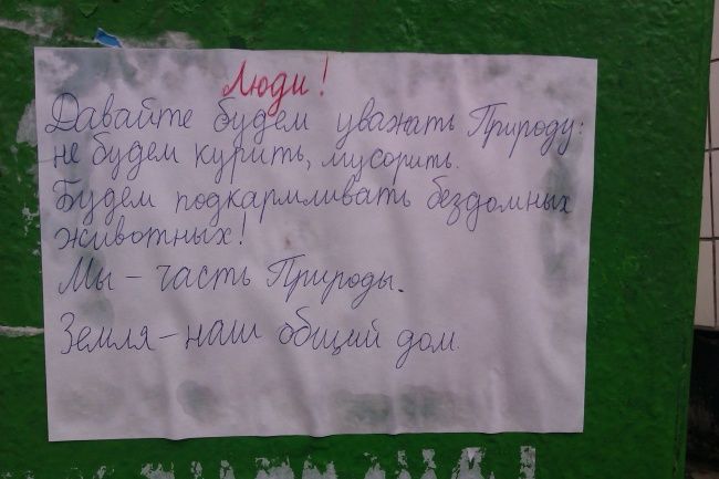 Объявления в подъезде (23 фото)