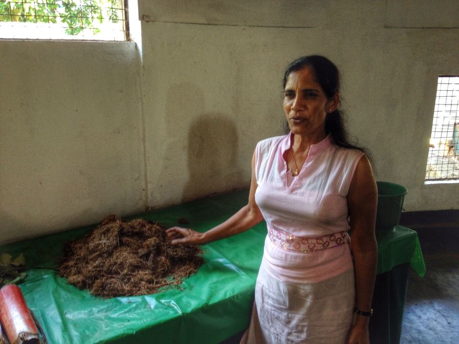 Как построить успешный бизнес на навозе (11 фото)