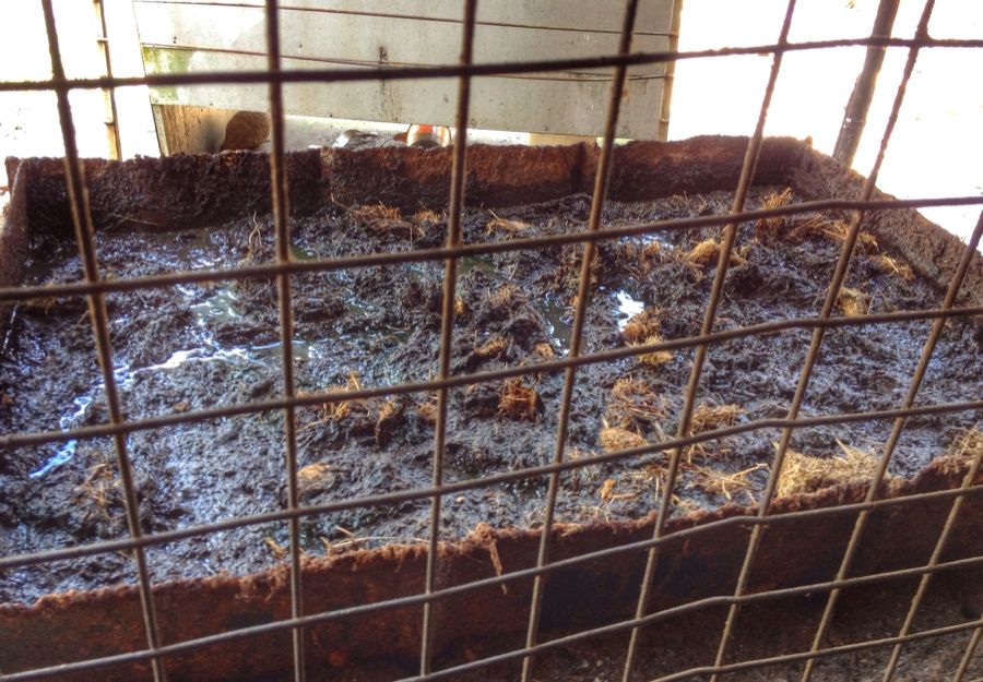 Как построить успешный бизнес на навозе (11 фото)