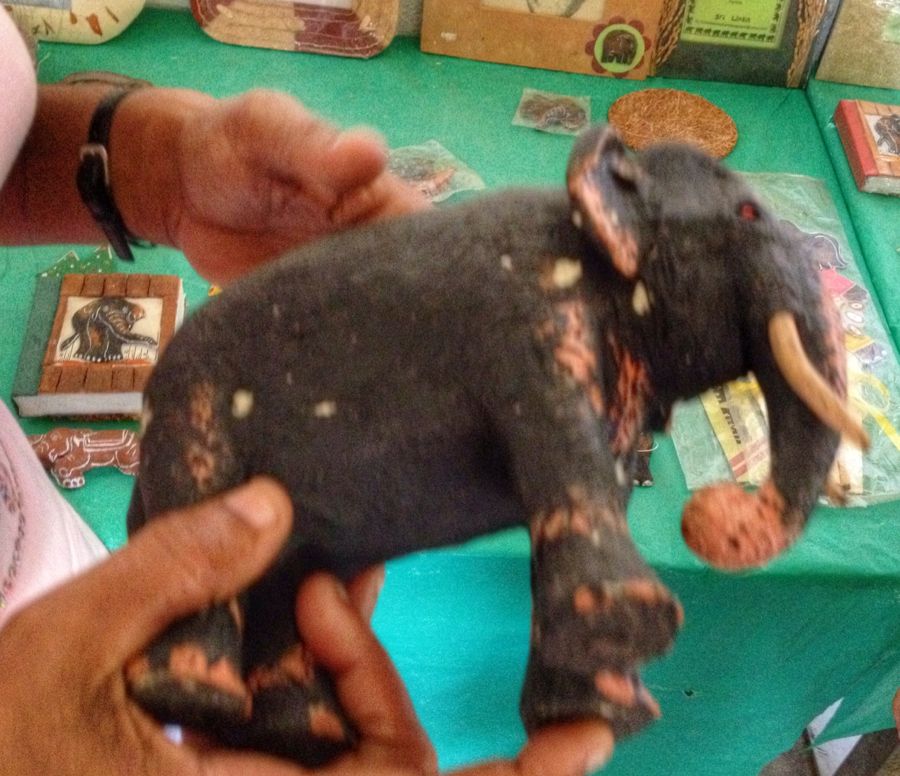 Как построить успешный бизнес на навозе (11 фото)