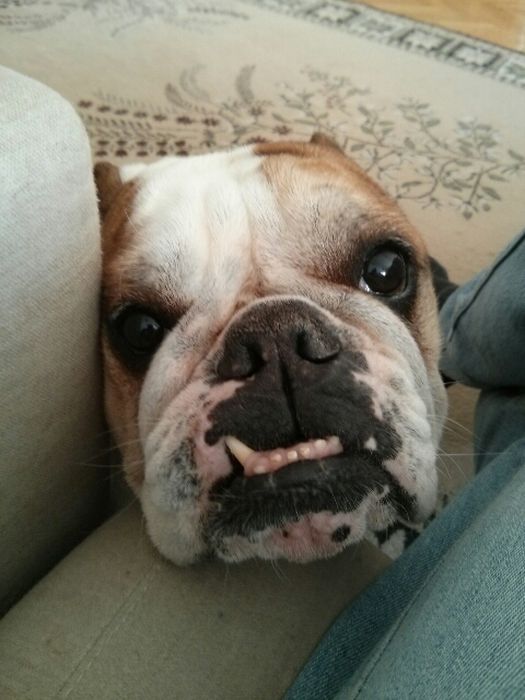 Прикольные картинки (57 фото)