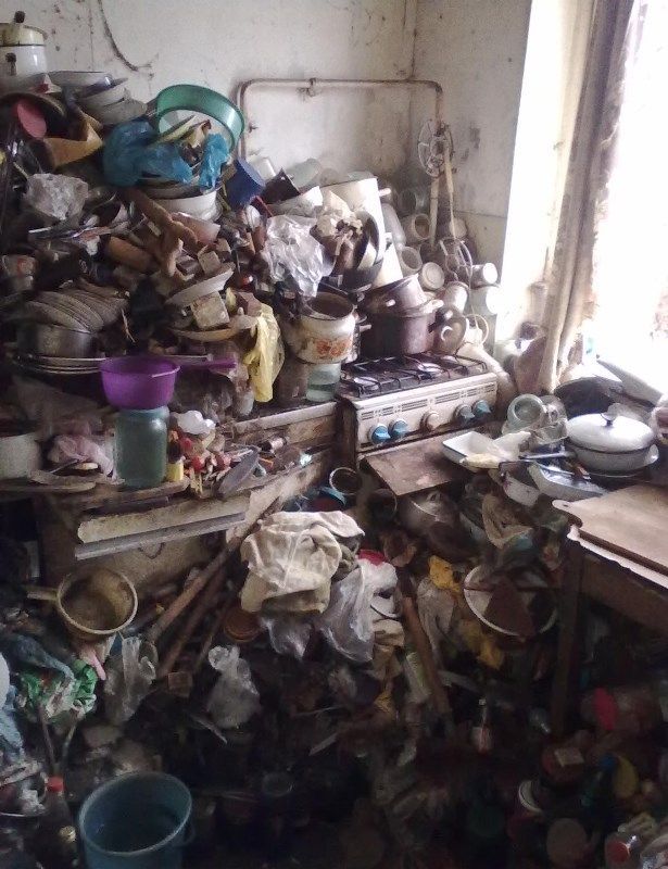 Прикольные картинки (57 фото)