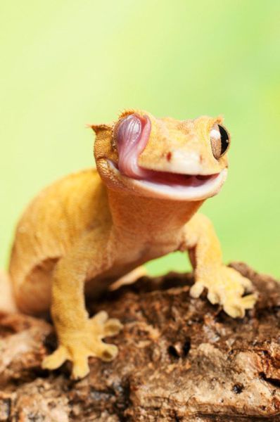 Прикольные картинки (57 фото)