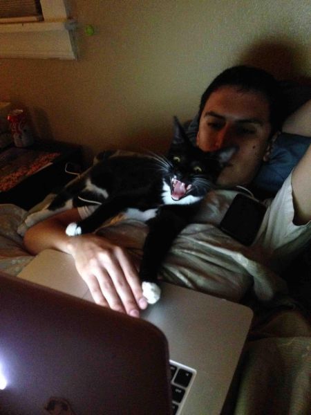 Прикольные картинки (57 фото)