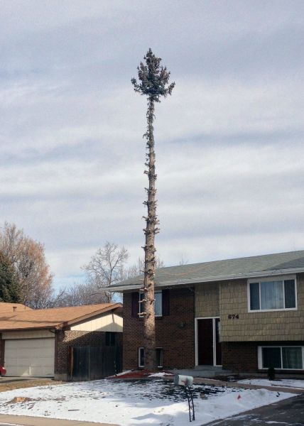 Прикольные картинки (57 фото)