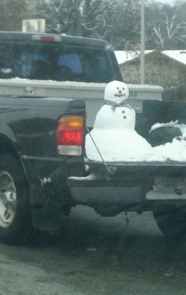 Прикольные картинки (57 фото)