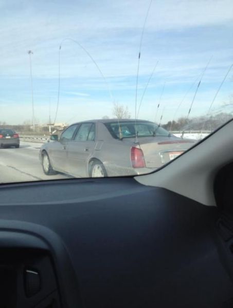 Прикольные картинки (57 фото)