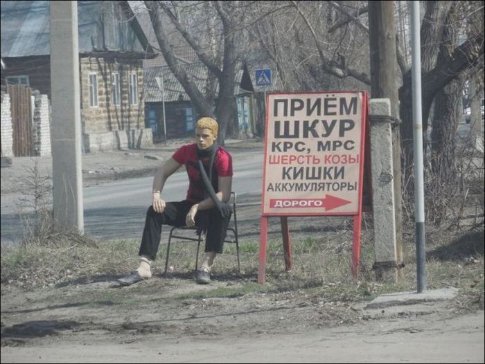 Перлы в вывесках и объявлениях