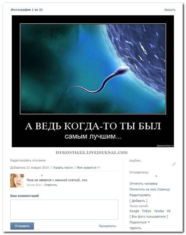 Веселые комментарии (39 фото)