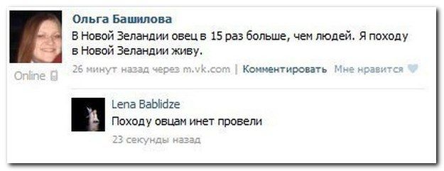 Веселые комментарии (39 фото)