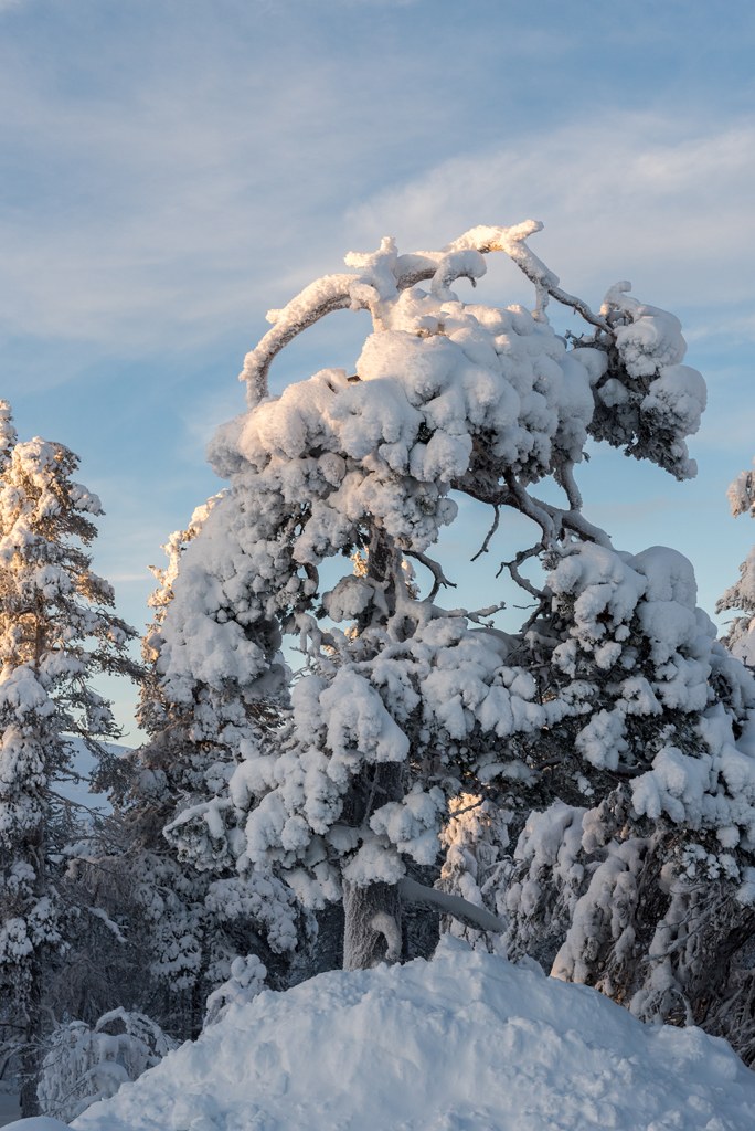 Стеклянные иглу в Лапландии