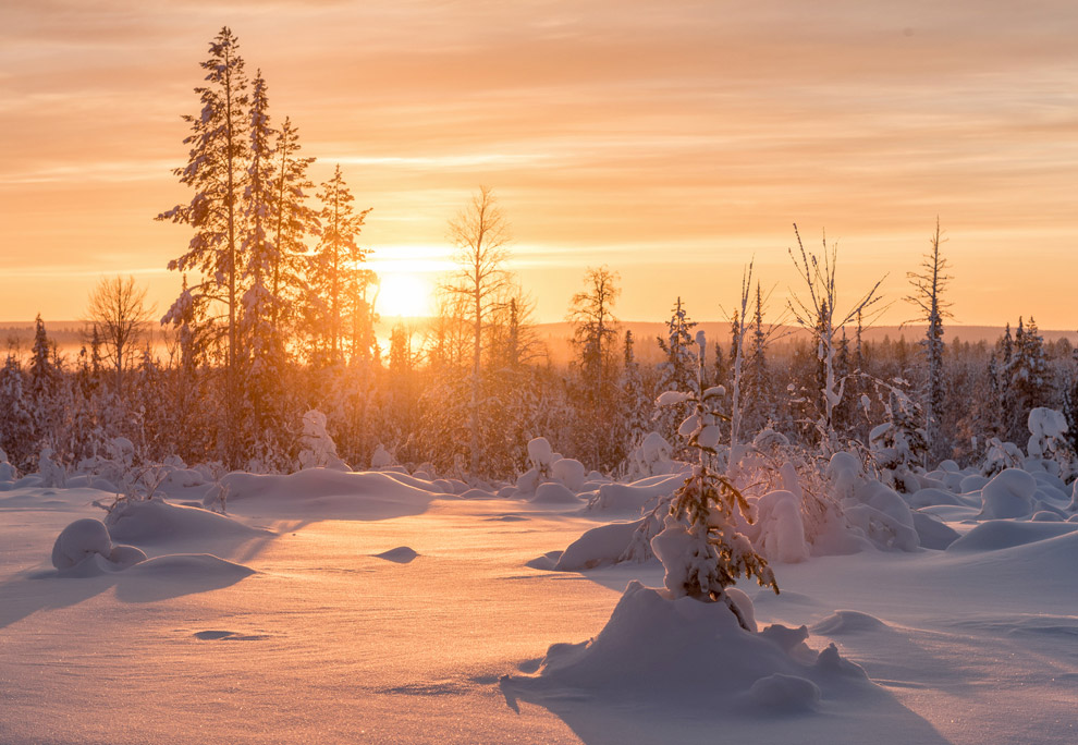 Стеклянные иглу в Лапландии