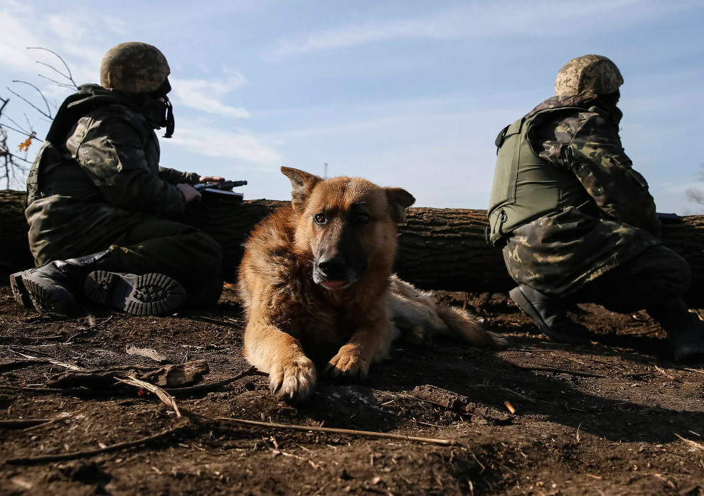 Украинские хроники