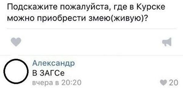 Юмор из социальных сетей