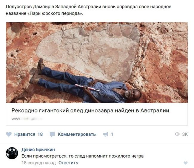 Юмор из социальных сетей