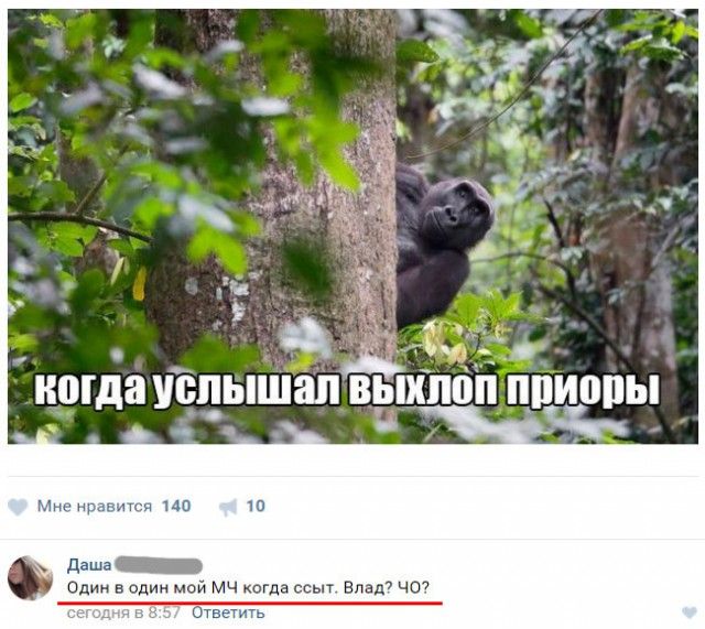 Юмор из социальных сетей