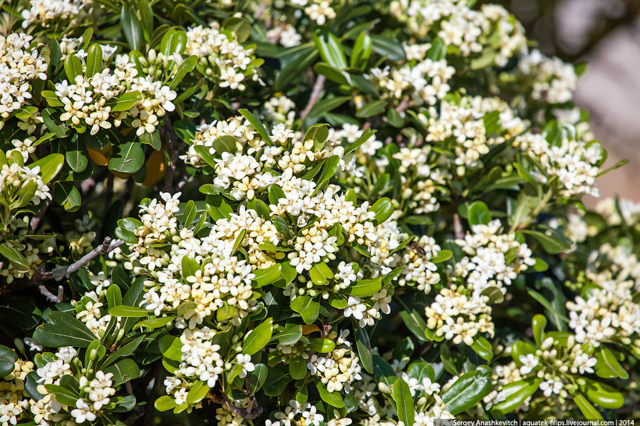 Типичный балканский городок