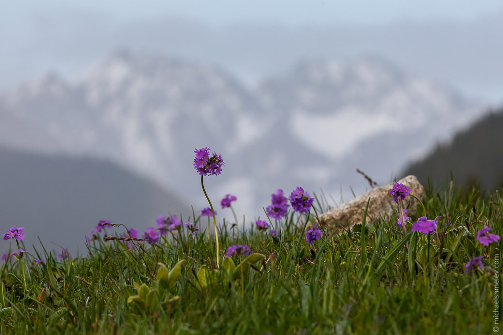 Пейзажи Киргизии Пейзажи Киргизии