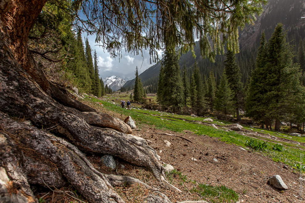 Пейзажи Киргизии Пейзажи Киргизии