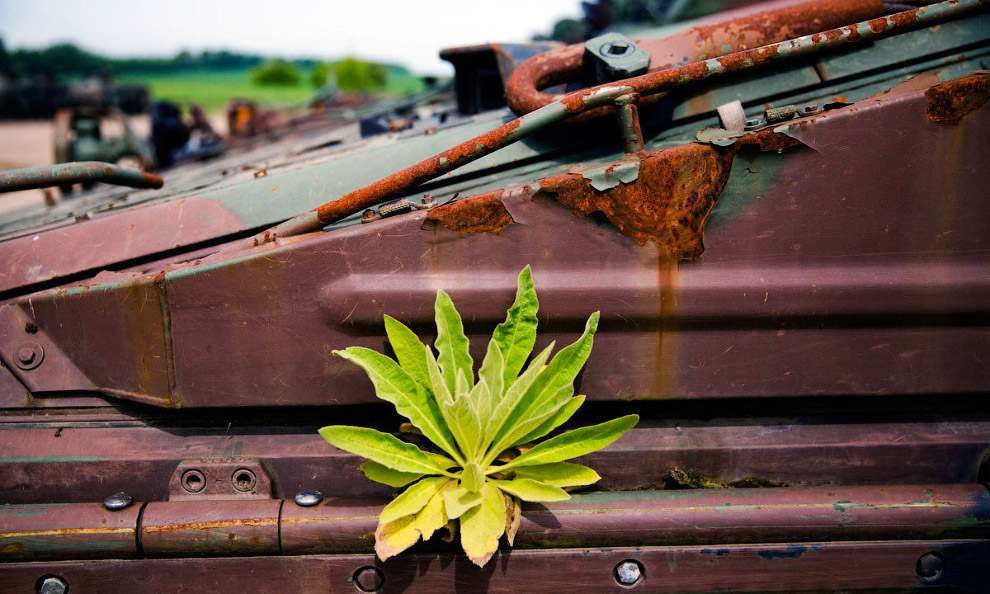 Кладбище танков под Берлином