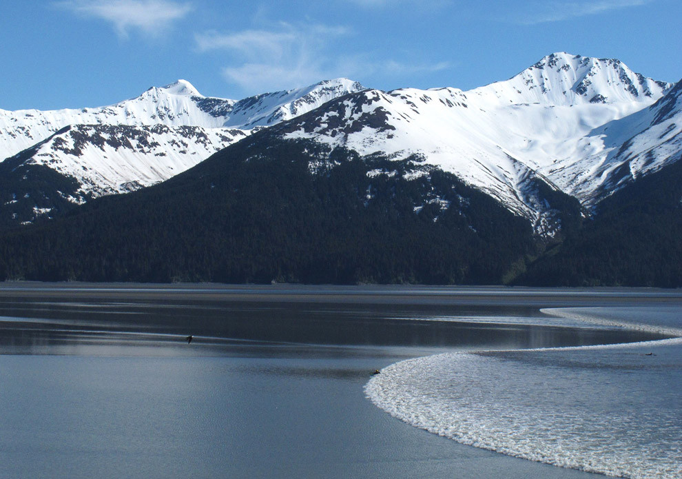 Приливная волна: против течения