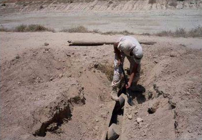 Нарко-автомобили мексиканских картелей (30 фото)