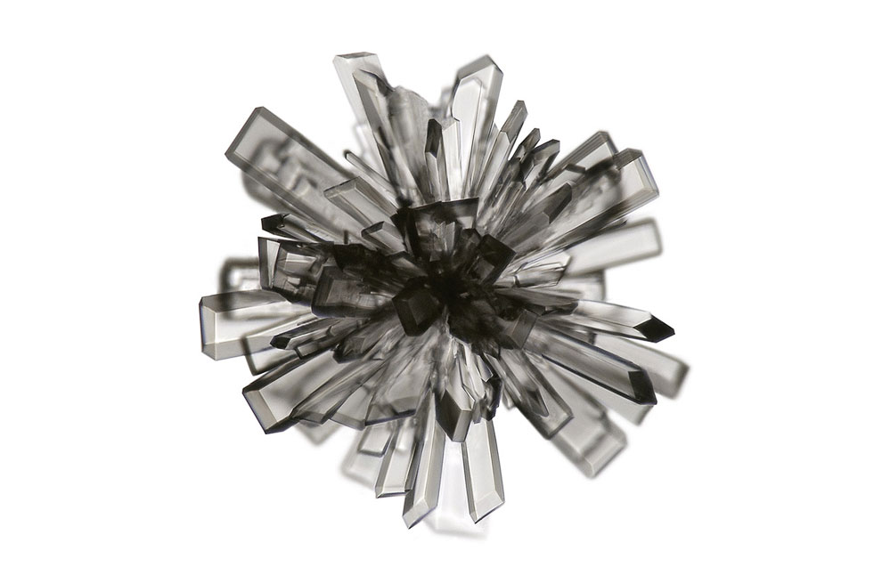 Конкурс микрофотографии Nikon Small World 2013