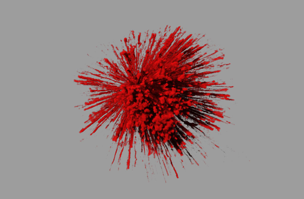 Конкурс микрофотографии Nikon Small World 2013