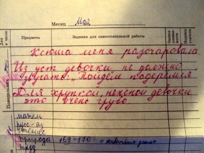 Странные замечания на страницах школьных дневников