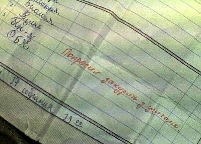 Странные замечания на страницах школьных дневников