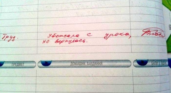 Странные замечания на страницах школьных дневников