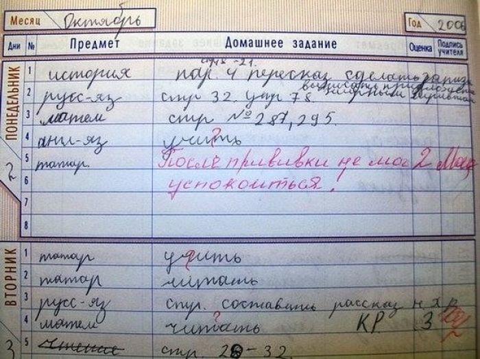 Странные замечания на страницах школьных дневников
