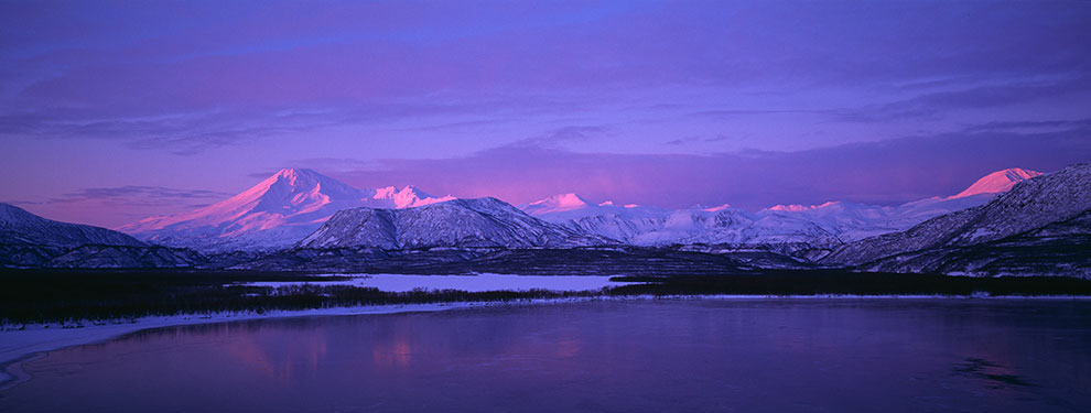 Медведи на Камчатке. Часть 3