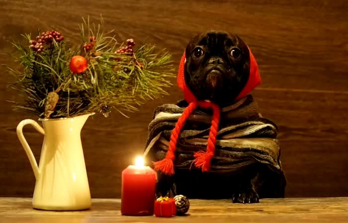 Хитрость, которая позволит свечам гореть всю новогоднюю ночь Хитрость, которая позволит свечам гореть всю новогоднюю ночь