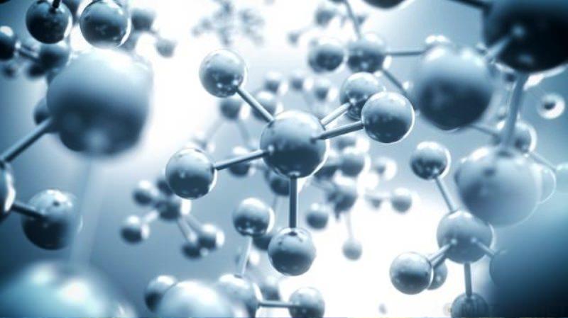 Научные открытия 2017 года Научные открытия 2017 года